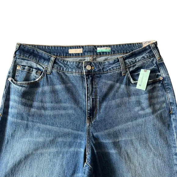 Anthropologie Pilcro The Vintage Straight Jeans | 18W NWT