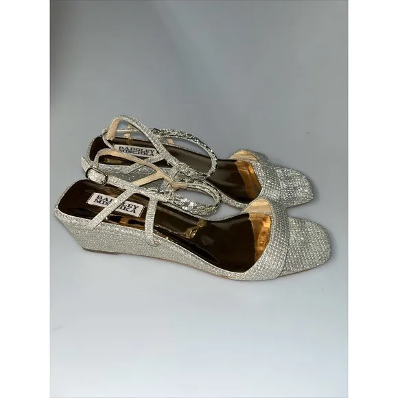 Badgley Mischka Women's‎ Kaelyn Wedge Sandal Silver Sz 10 $185