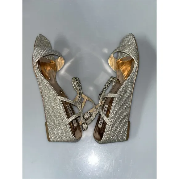 Badgley Mischka Women's‎ Kaelyn Wedge Sandal Silver Sz 10 $185