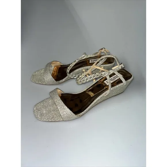 Badgley Mischka Women's‎ Kaelyn Wedge Sandal Silver Sz 10 $185