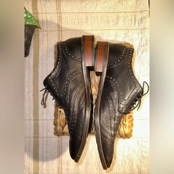 Cole Haan Men's Black Grand OS Lennox Hill Wingtip Oxford - Size 9.5 M