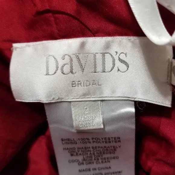 David's Bridal dress 2 Strapless Pleated Bodice F18028 Apple chiffon lined