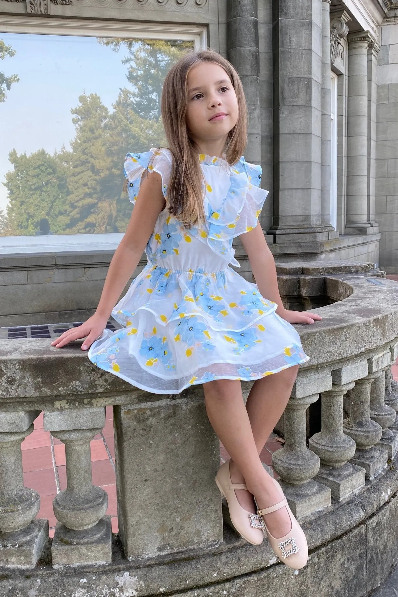 Forget Me Not Dress - Forget Me Not Organza