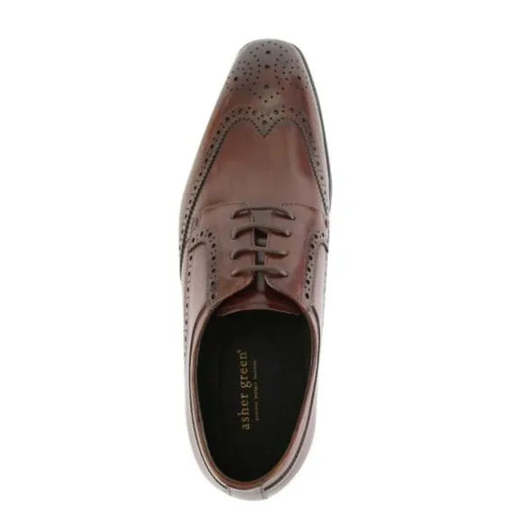 NEW Asher Green Men's Genuine Calf Leather Wingtip Dress Shoes Size 13
